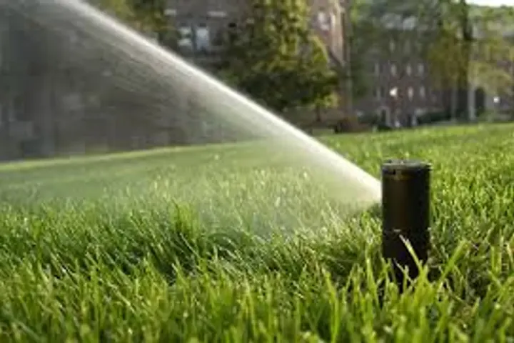 Irrigation