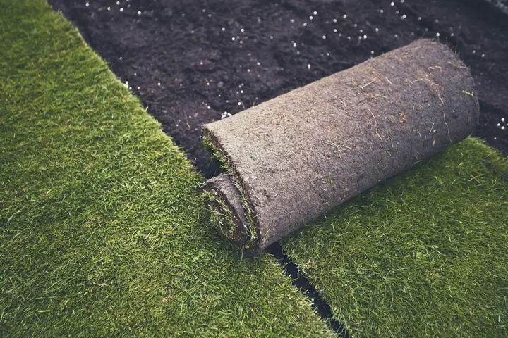 Fresh sod installation